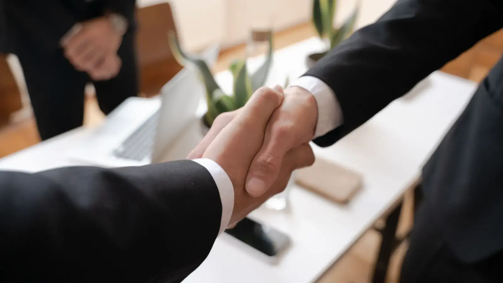How to Tell if a Business Is Legitimate, and How a New Business Looks Credible