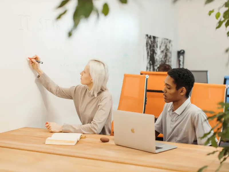 Choosing a Business Structure: LLC, Corporation and DBA